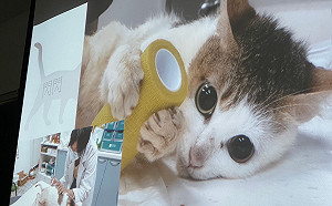 新北動保處獸醫跨域花蓮高農 分享動保生命教育