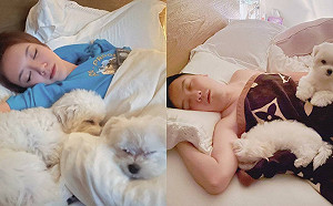 因狗結緣！李妍憬脫單曝親密床照網驚：那個AV導演？