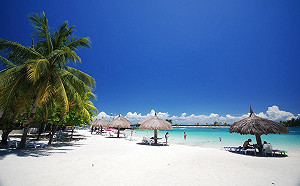 星宇線上旅展開跑！全航線機票9折  明年1/17宿霧開航