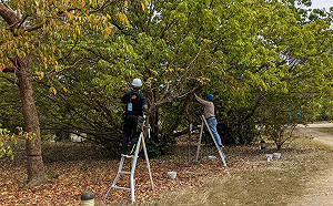 回應公民團體訴求 高市府：落實友善環境政策邁向永續城市