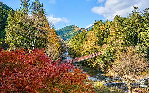 重返日本！逛「台北國際旅展」東京攤位搜刮最新旅遊情報
