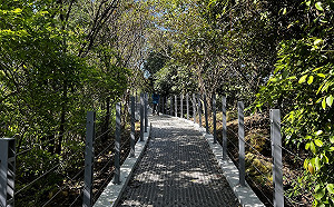 台北國際旅展登場！台灣館「4大主題」深度體驗山、海景