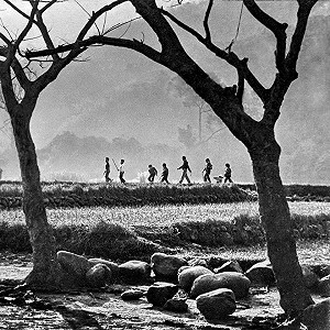 5圖看懂浪漫台三線４年82億 創造282億商機