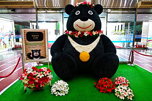 熊讚換春裝！ 近距離捕獲野生熊讚走進熊讚的家