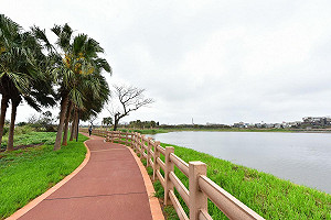 救災搶險演練監控 防汛多管齊下