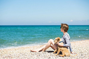 就愛賴著你  汪星人靠在主人身上為什麼？