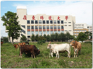 嶺東科大寶文校區火警 消防局全力滅火