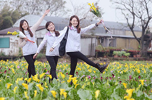 就算人擠人也要去  桃園彩色海芋花況佳