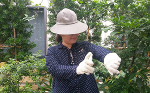 別來「無恙」 清明連假防恙作戰