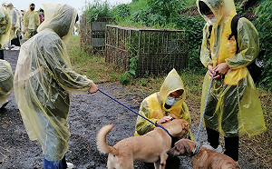一日動保志工初體驗 淡大學生開箱新北淡水動物之家