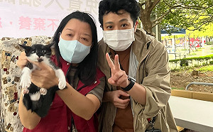 國立台灣圖書館加入新北動保行列　為毛寶貝尋找下一站幸福