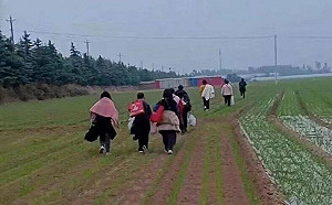 才有人受不了封控17樓垂降摔死！ 鄭州疫情嚇跑富士康廠區大批員工