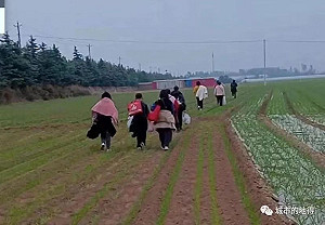 新上山下鄉運動? 富士康員工大逃亡 中共基層被「拉伕」 叫去生產線工作