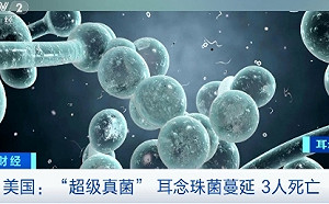 致死率達60% 阿根廷首度出現「超級真菌」 目前已2例 當局緊急阻斷感染鏈