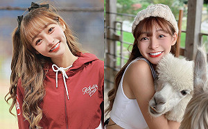 最爽動物！林襄胸前緊抱  粉絲羨慕：下輩子當羊駝