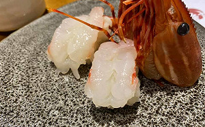 今年首例本土霍亂！疾管署：40多歲女吃生海鮮   解水便、上腹部痛送醫