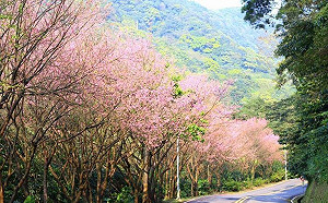 新北工務局橋梁維護及路況養護 榮獲中央金路獎雙料殊榮