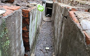 新店錦秀碧瑤社區擋土牆開裂 新北市府持續協助緊急搶災