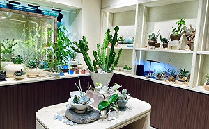 最美植物店！有肉週年慶送7大好禮