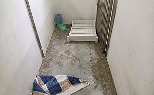 照護高齡犬貓 新北動保處開辦寵物長照課程