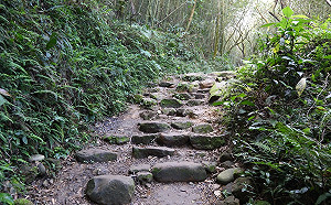 關子嶺「大凍山步道」展新貌！自然工法裝修安全又美觀