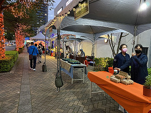 新北「歡迎光林」光影綠廊 週六「親子劇場之夜」登場