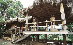 嘉義阿里山茶山部落涼亭節 翁章梁︰獨特文化值得體驗