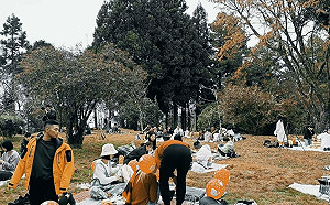 愜意森林時光！阿里山「山林野餐市集」12/3療癒登場
