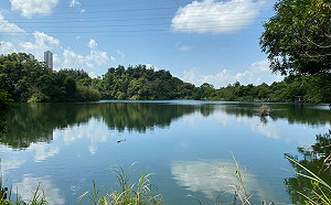 新北建設美麗蛻變 永續城市友善宜居