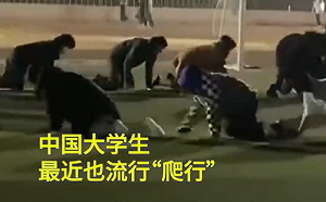 (影) 清零快逼瘋大學生!竟流行「群爬」、「遛紙狗」專家:習近平陷兩難