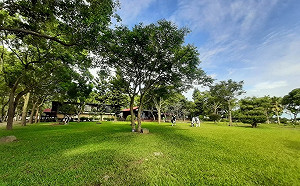 感受台東之美！12/15前「台灣好行–鹿野慢漫遊」套票優待200元