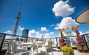 手刀搶便宜！虎航超值機票開搶 飛日、韓1499元起