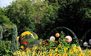 士林官邸菊展11/25登場！特色綠雕跟大家一起開Party