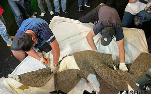 S HOTEL毀的汪小菲床墊非千萬海絲騰？官方「二度暗示」