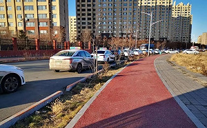 中國電動車問題大! 冬季電池續航力不見70% 司機為省電關暖器 車如「移動冰窖」