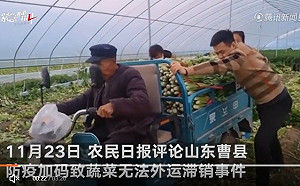 清零過頭 地方隨意封路 菜全爛在地裡！黨媒痛批：幹部出來面對!