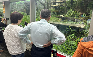 投完票了！柯文哲、黃珊珊放鬆赴動物園看貓熊