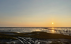 出門旅遊注意！12/1香山溼地將列「禁菸區」違者最高處1萬元