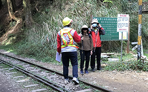 43遊客違法走祝山線鐵道!阿里山警察當場開勸導單驅離