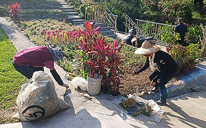 景觀改造 志工耗費14年打造新北泰山後花園