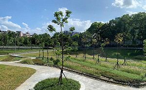 新北遛小孩勝地 1 壽德公園12/1開放 