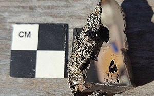 百年太空隕石被發現帶有未知礦物 ! 科學家 :部分可能在中國被轉售