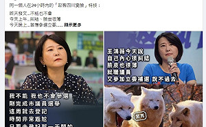 王鴻薇準落跑被酸四川變臉 網：補選費用落跑者出