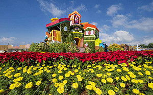 浪漫花海快搶拍！台中國際花毯節12/3登場