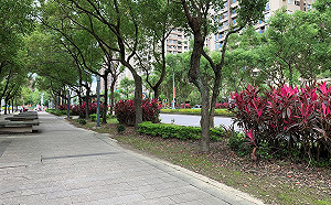 新北景觀廊道再添1條 北大特區營造綠韻花漾景觀廊道 