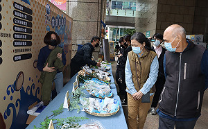 新北「貢寮鮑」產季到   侯友宜邀嚐鮮 