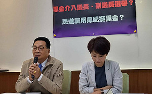 正國會不同調!不挺賴清德選黨主席  綠委籲黨內應好好思考