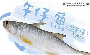 中國「再出手」禁台水產輸陸!食藥署回應:會做該做的事