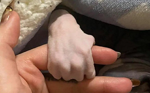 不是小孩的手！棉被伸出「蒼白小手」緊握　網驚：是多比