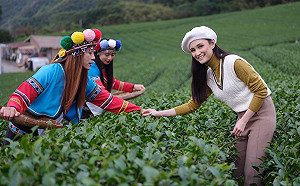 搶攻穆斯林旅遊商機!觀光局邀當地人氣女星任宣傳代言人